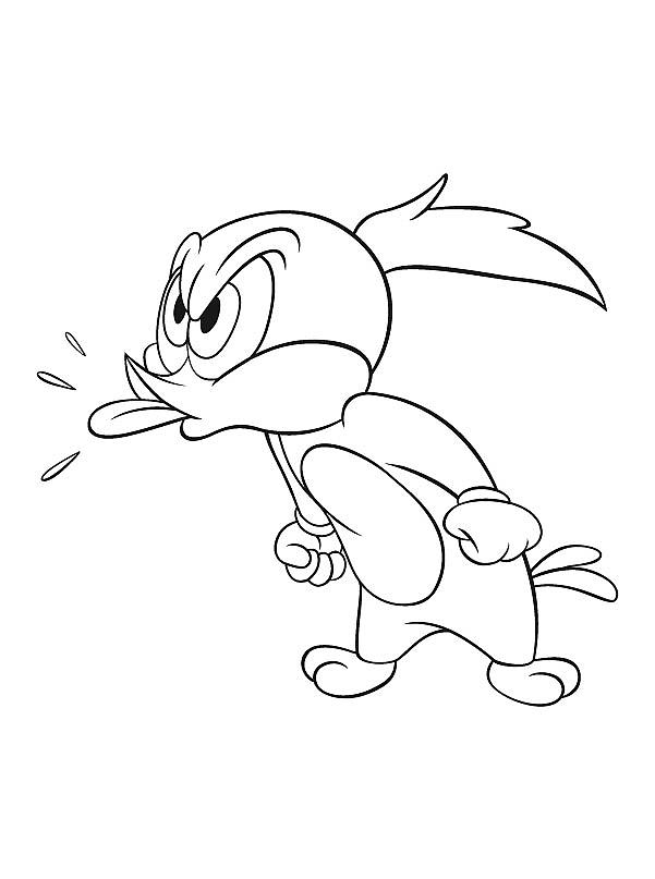 Woody Woodpecker kolorowanki